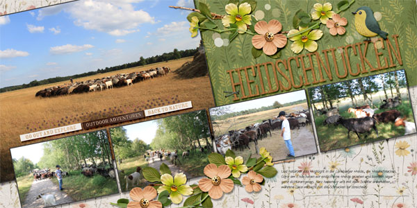 Heidschnucken