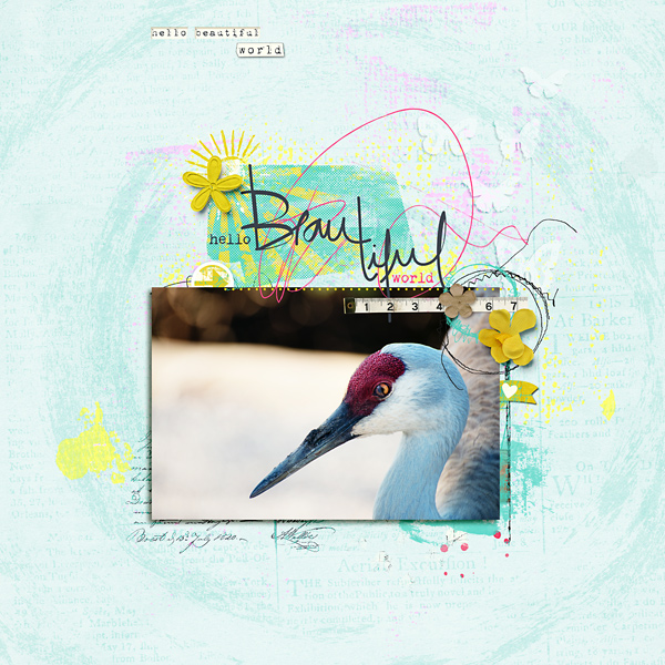 Hello Beautiful World