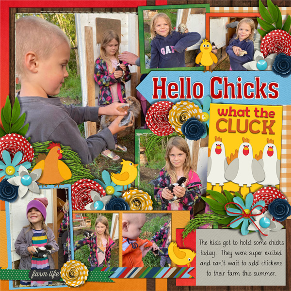 Hello Chicks