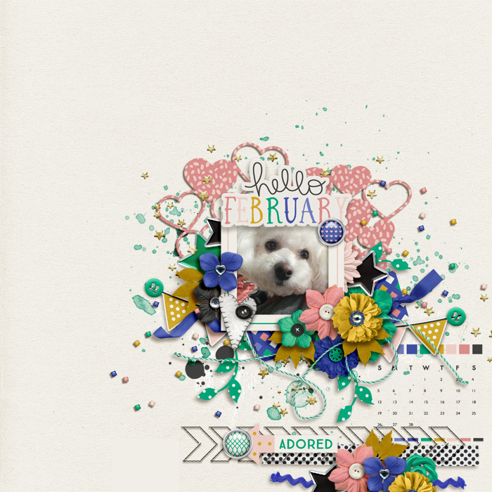 Hello February
