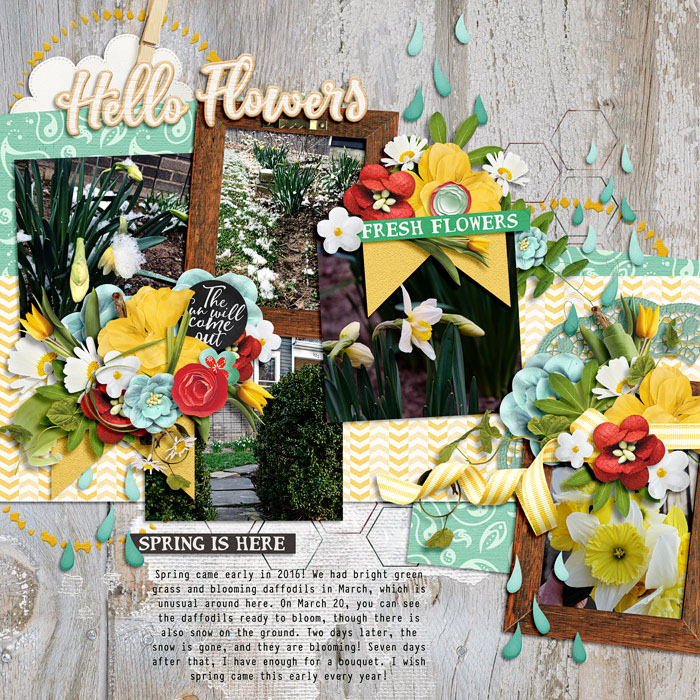 Hello Flowers