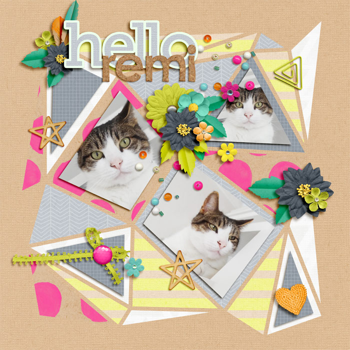 Hello Remi