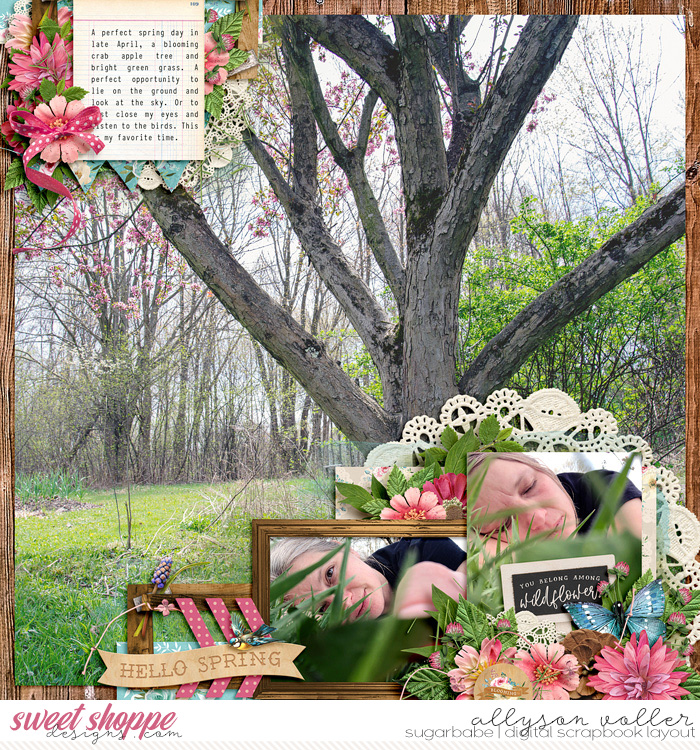 Hello Spring 2023