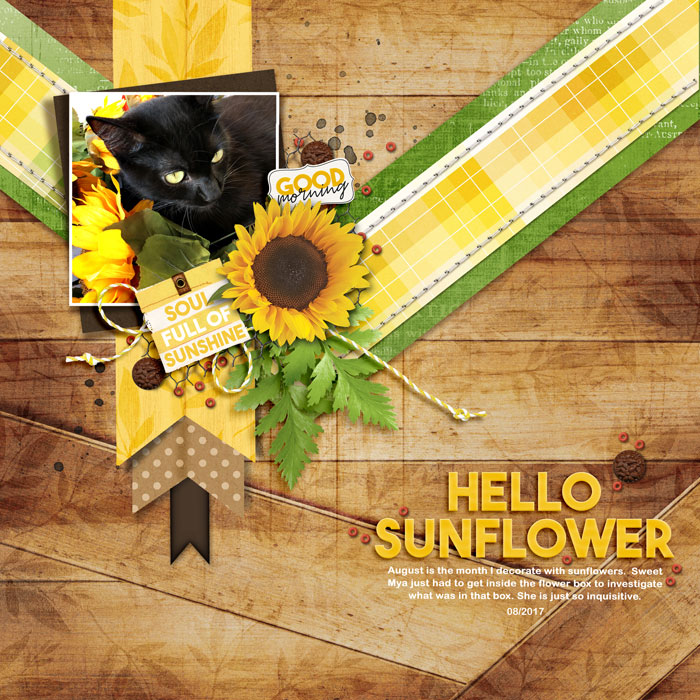 Hello Sunflower