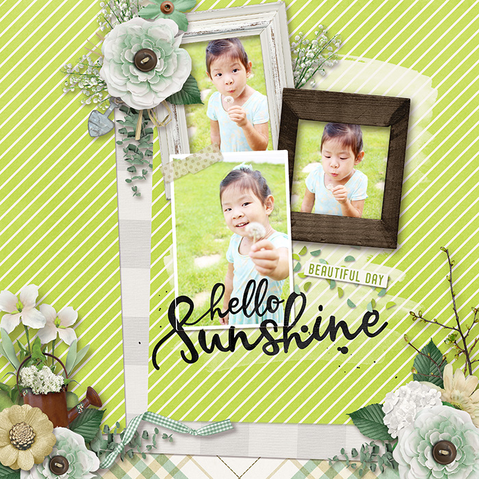 Hello Sunshine