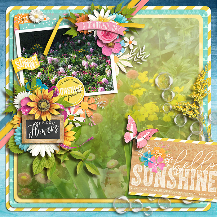 Hello sunshine