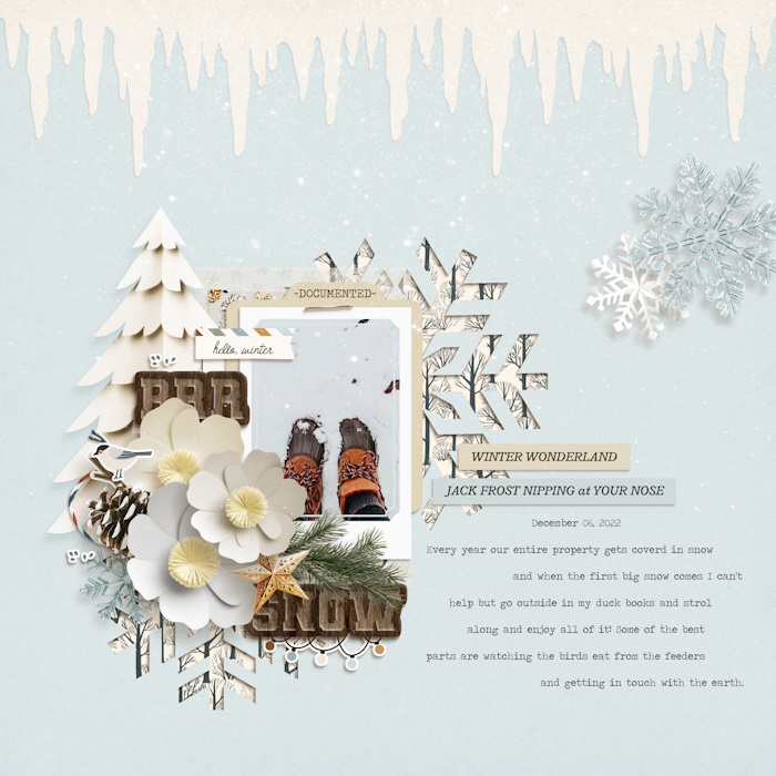 Hello Winter - Collection