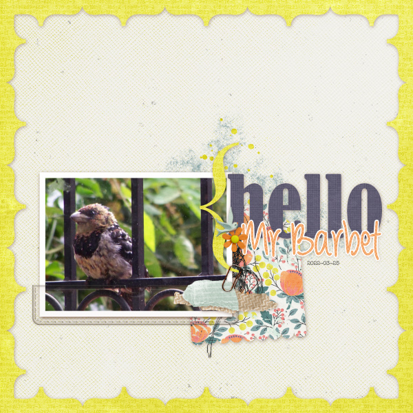 HelloMrBarbet