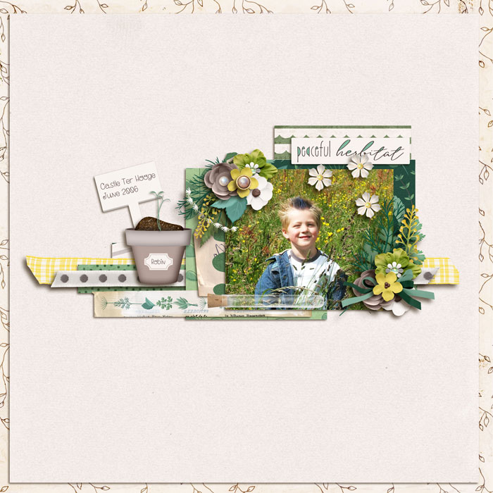 Herb Garden