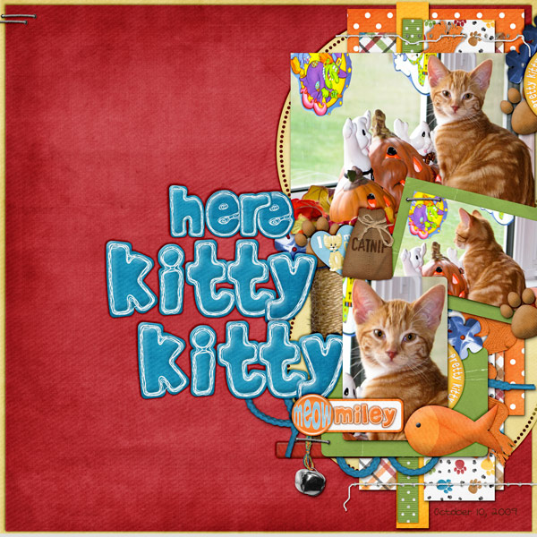 Here Kitty Kitty
