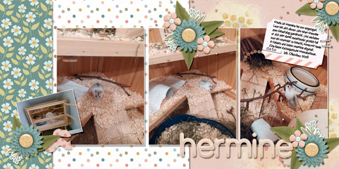 Hermine