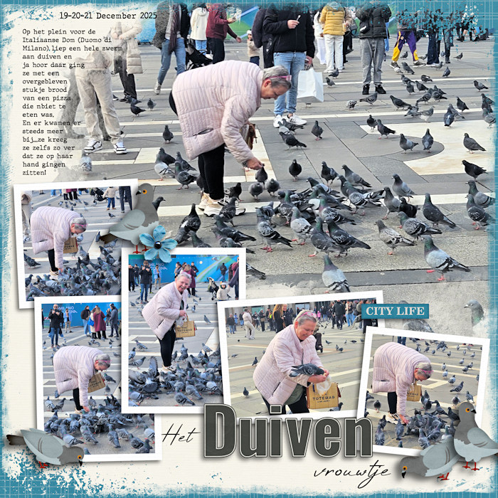 Het duiven vrouwtje