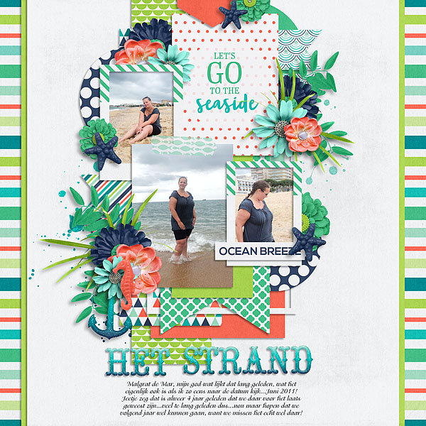 Het strand