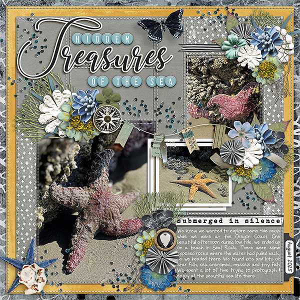 Hidden Treasures