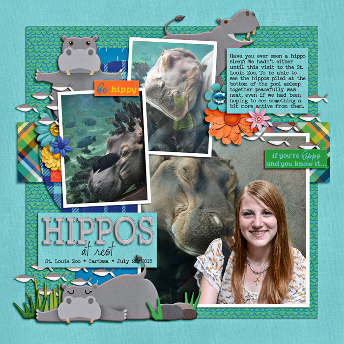 Hippos at Rest