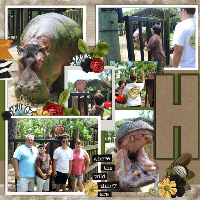 HIPPOS!!!
