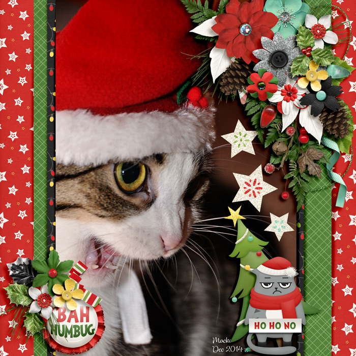Ho Ho No