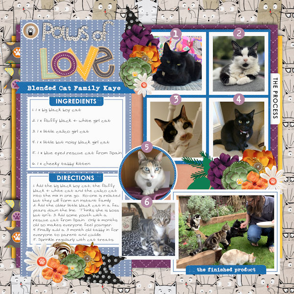 Hobbies - Baking :Paws of Love
