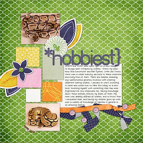 hobbiest