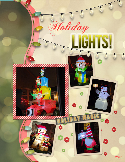 Holiday Lights