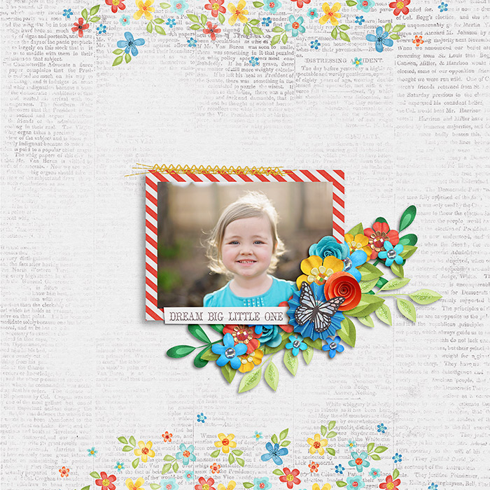 hollyxann_dreambig_web
