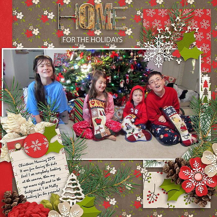 Home for the Holidays