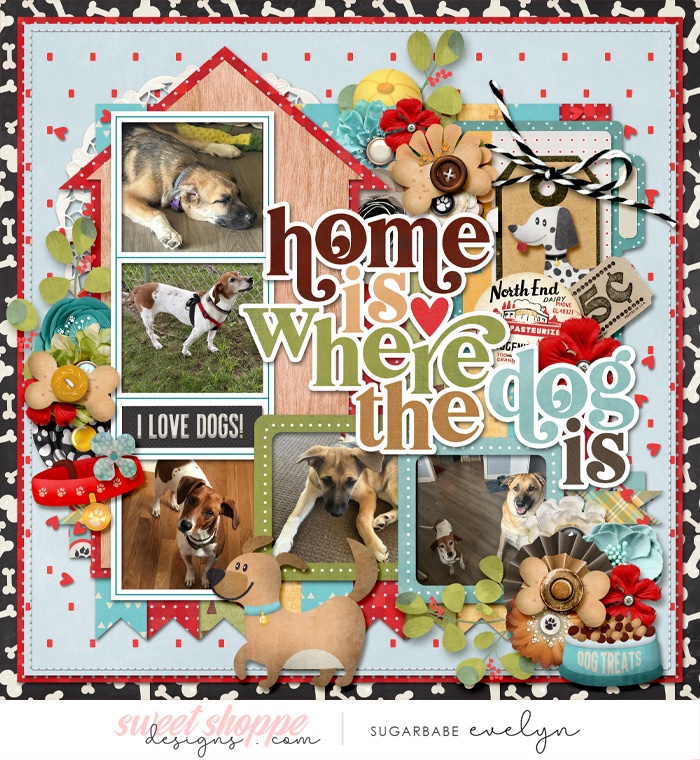 Home is Where Our Dogs Are
