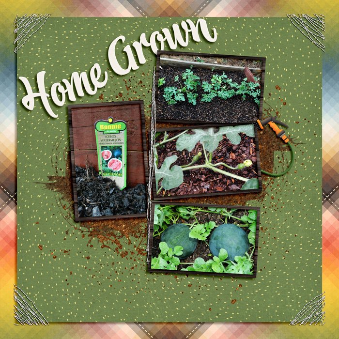 Homegrown