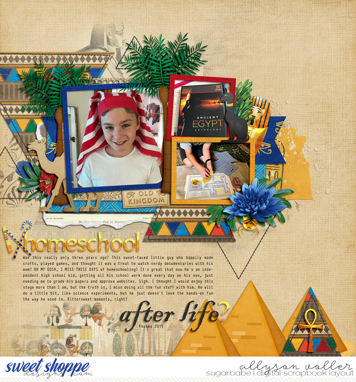 Homeschool After Life