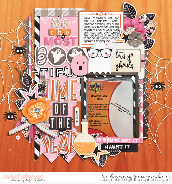 Homeschool Costume funny