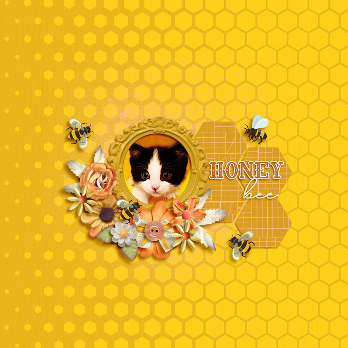 honey bee