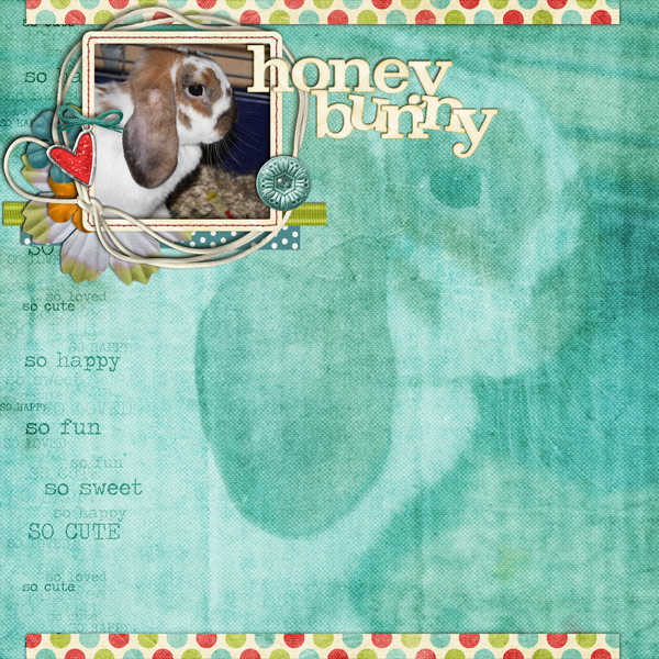 Honey Bunny