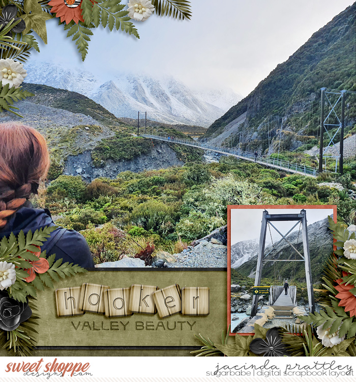 Hooker Valley beauty