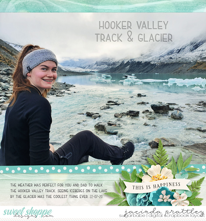 Hooker Valley Glacier
