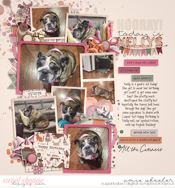 Hooray today is Nelly's birthday!