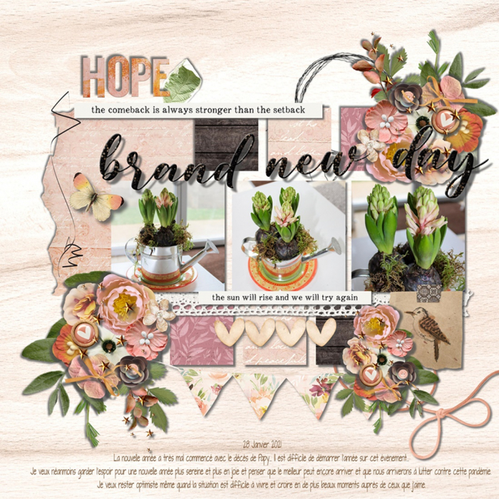Hope Brand New Day