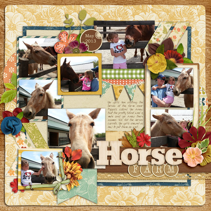 Horse Farm
