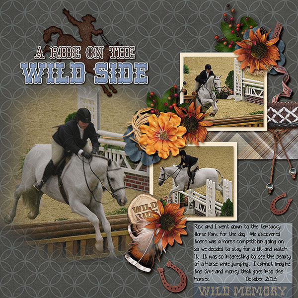 Horse Jumping
