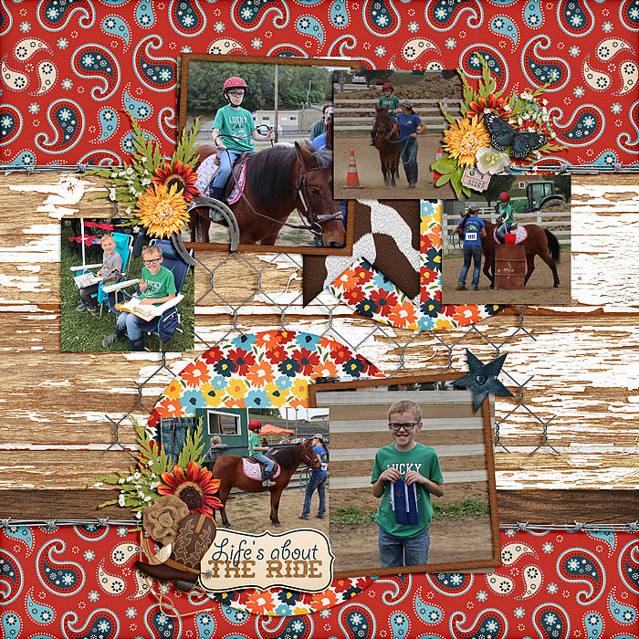 Horse Show