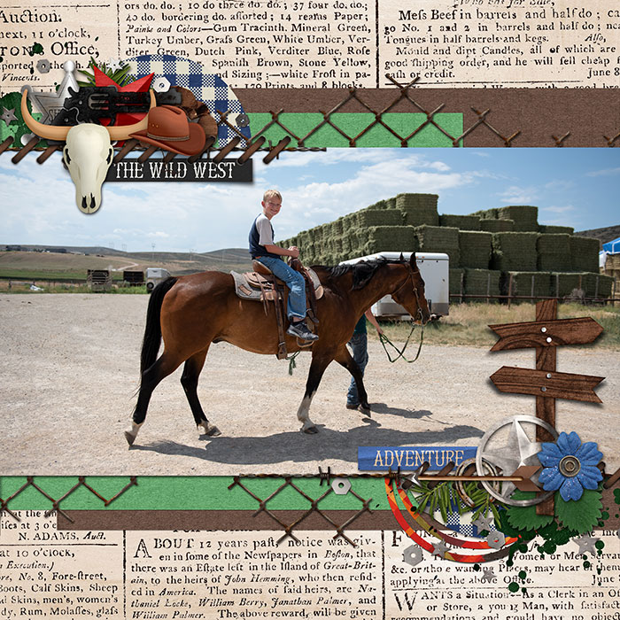 Horses
