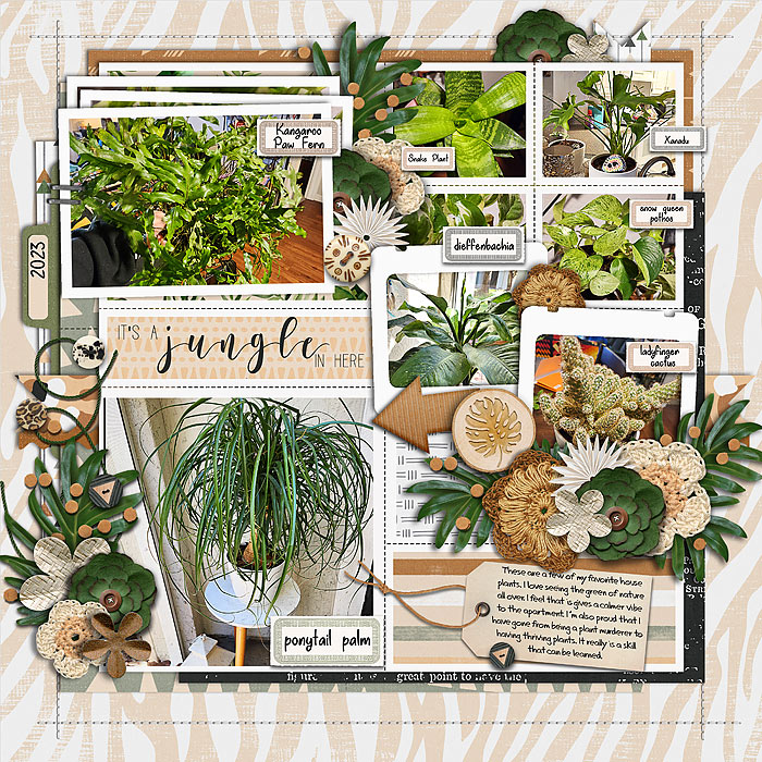 Houseplants