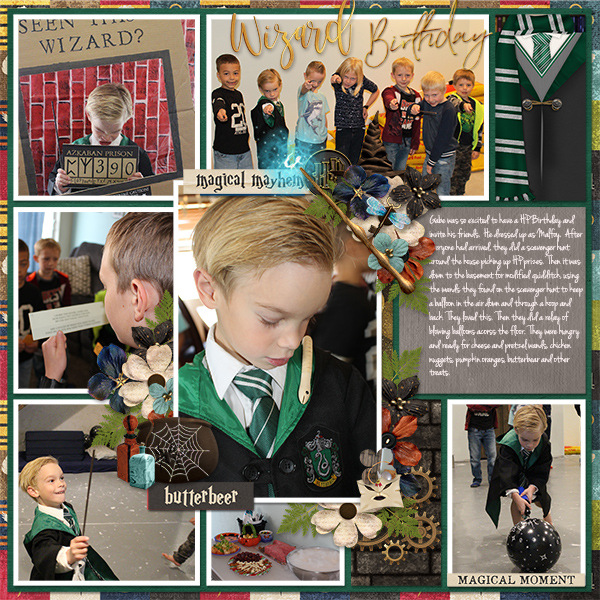 HP 6th Birthday