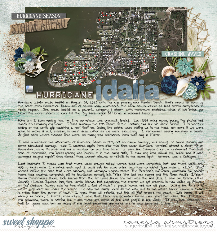 Hurricane Idalia ~ My Hometown
