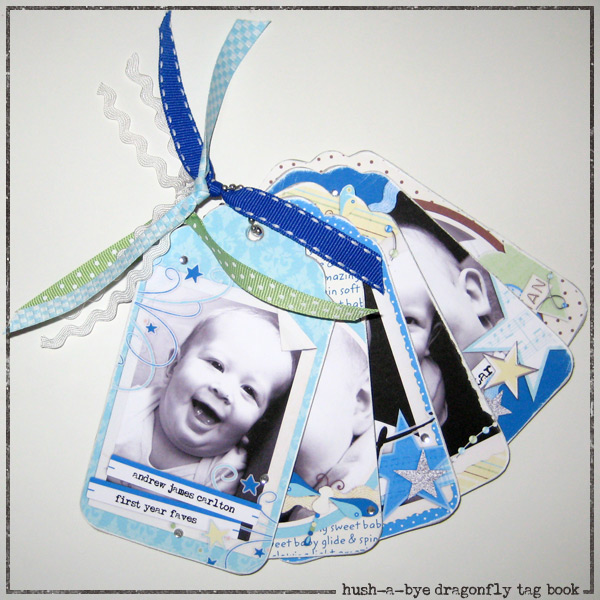 Hush-A-Bye Dragonfly Tag Book