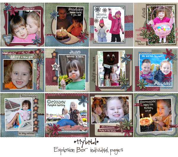 {Hybrid} 2007 Explosion Box