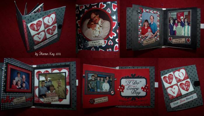 Hybrid:  Anniversary mini book