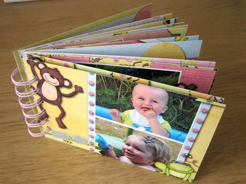 Hybrid Baby Album
