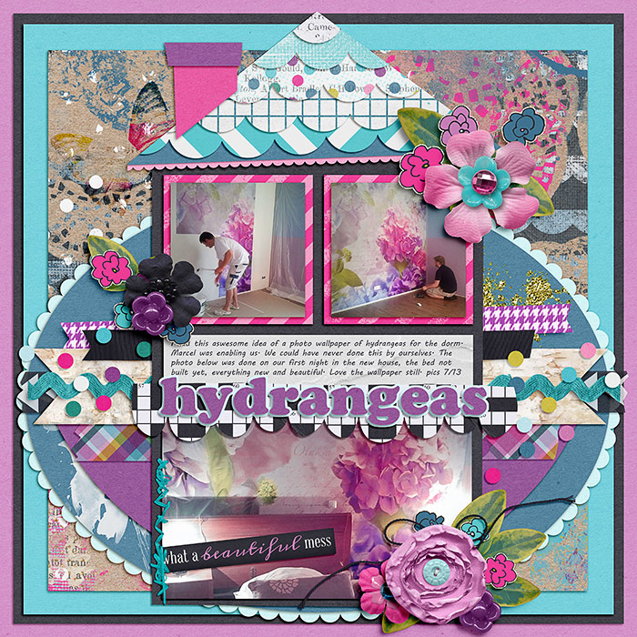 hydrangeas