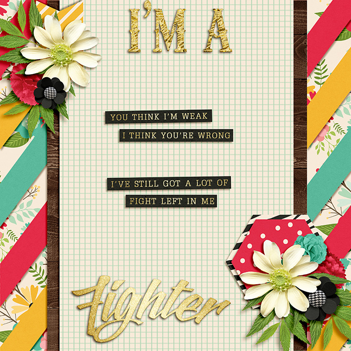 I Am A Fighter
