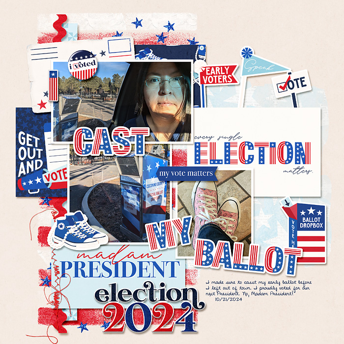 I Cast My Ballot